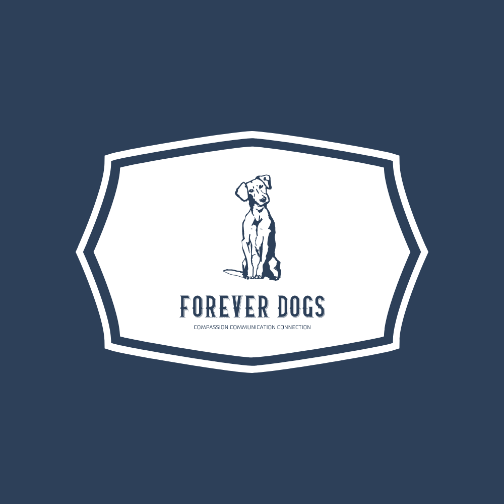 FOREVER DOGS- dog training, consultation, enrichment  Seattle, Washington